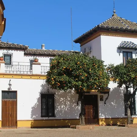 Apartamento Plaza De Toros Jerez De Los Caballeros Exterior photo
