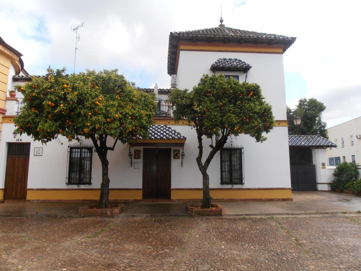 Plaza De Toros Jerez De Los Caballeros