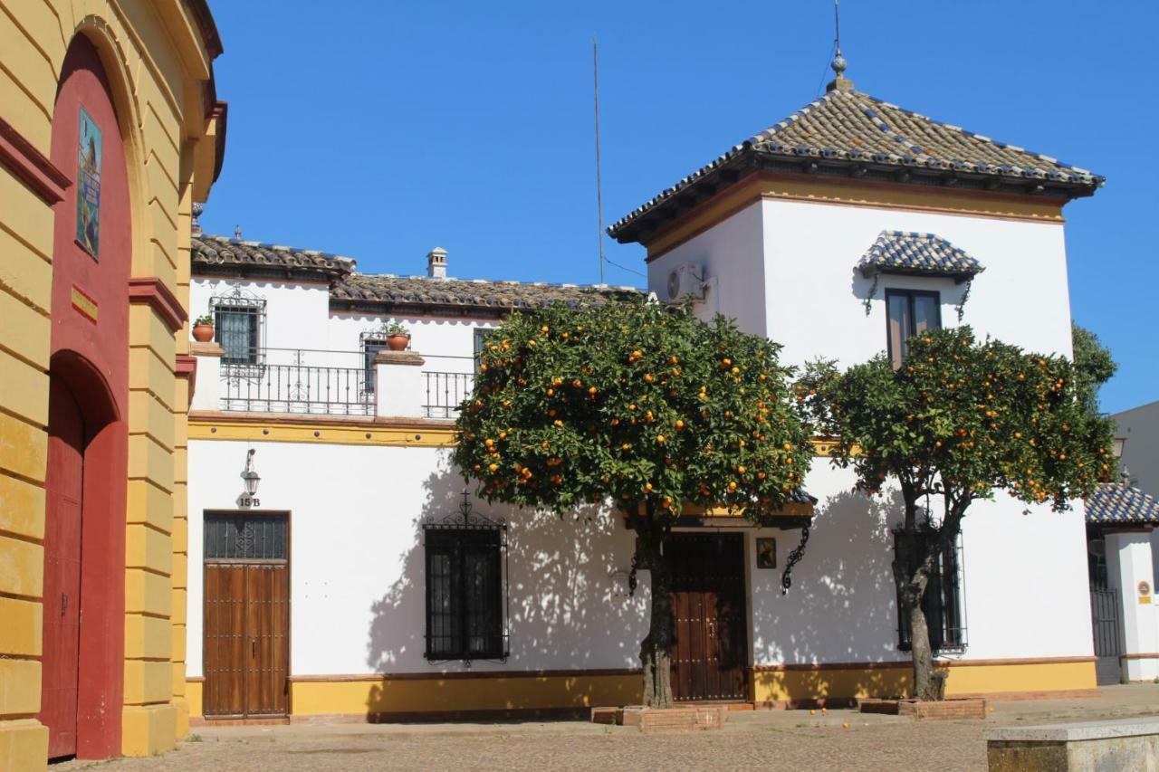 Apartment Plaza De Toros Jerez De Los Caballeros